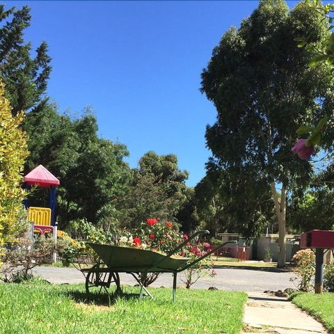 Acacia Caravan Park - Nambucca Heads Accommodation 6