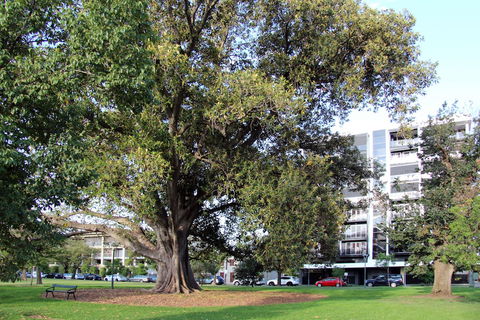 Adelaide Central Apartment - 3BR, 2Bath & Carpark - Nambucca Heads Accommodation 1