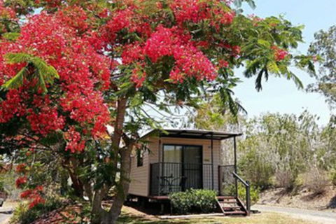 Mt Larcom Tourist Park - Nambucca Heads Accommodation 0
