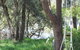 Waters Edge - thumb 5