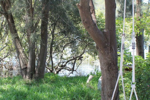 Waters Edge - Nambucca Heads Accommodation 5