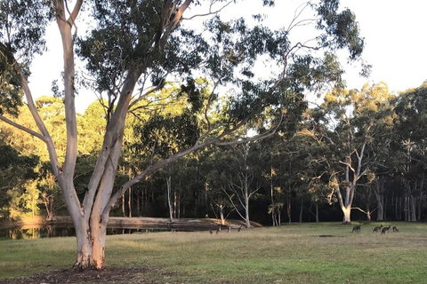 Azaltie - Nambucca Heads Accommodation 7