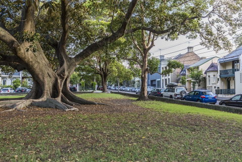 A Walk To Syd Uni & RPA Hospital - Nambucca Heads Accommodation 1
