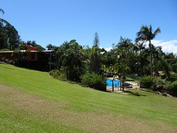 11 Korora Palms 1 Bedroom Bure - Nambucca Heads Accommodation 5