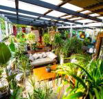 Jaspers Apartments - Nambucca Heads Accommodation