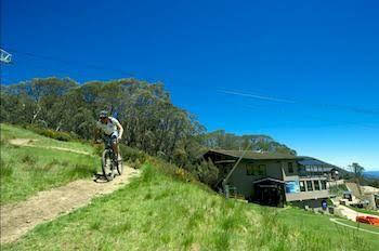 Snowlands Apartments - Nambucca Heads Accommodation 1
