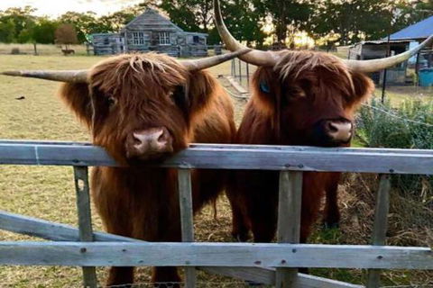 Straw House Farm B & B - Nambucca Heads Accommodation 4