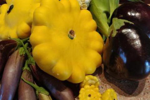 Straw House Farm B & B - Nambucca Heads Accommodation 6