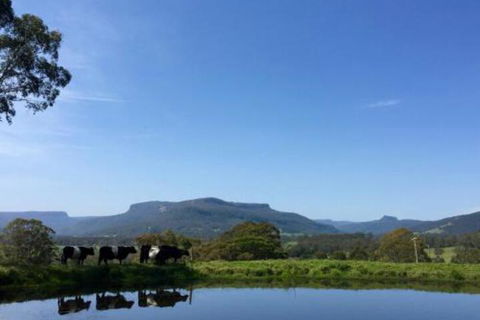 Minimbah Farm Cottages Family Farmstay Choose From 2 & 3 Bedroom Cottages & 6 Bedroom House - Nambucca Heads Accommodation 0