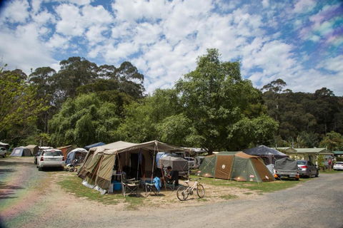Warburton Holiday Park - Nambucca Heads Accommodation 2