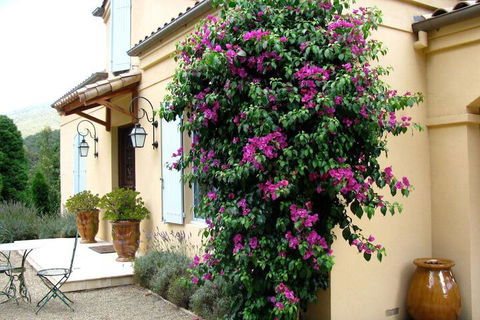 Casa Valeri - Nambucca Heads Accommodation 3