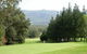 Greenwood Cabin In Kangaroo Valley - thumb 5