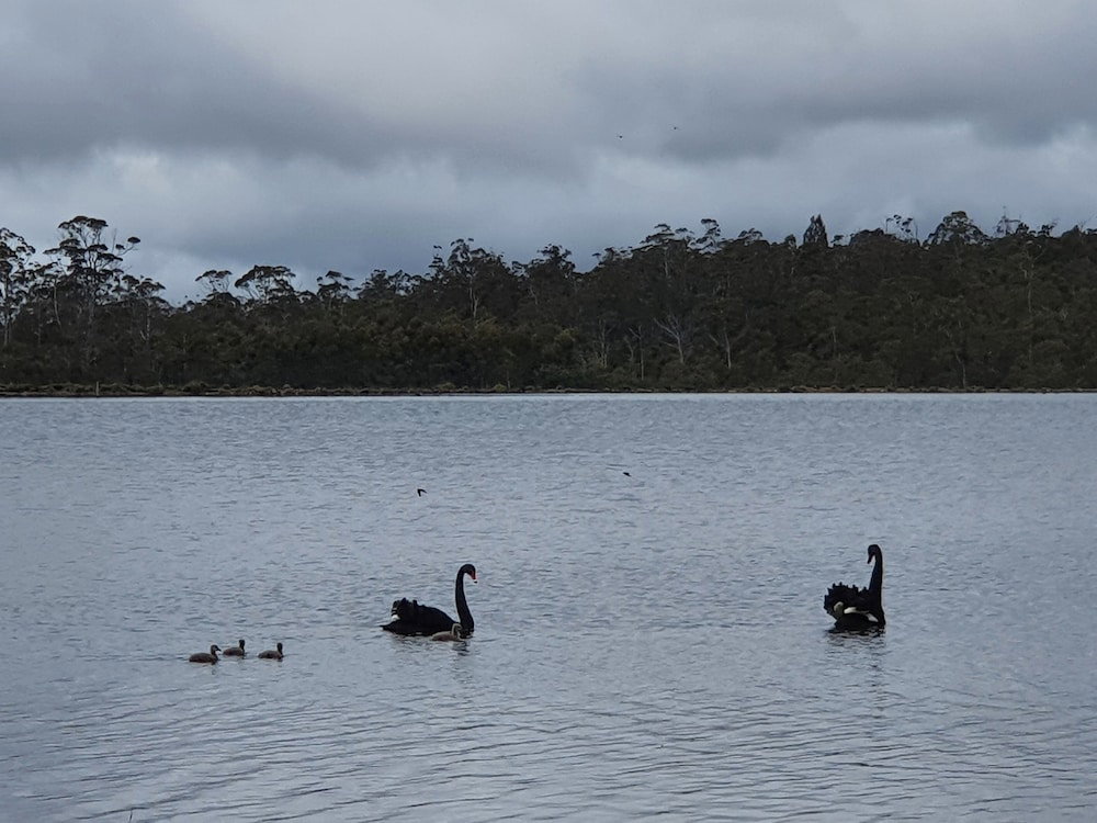  Nambucca Heads Accommodation