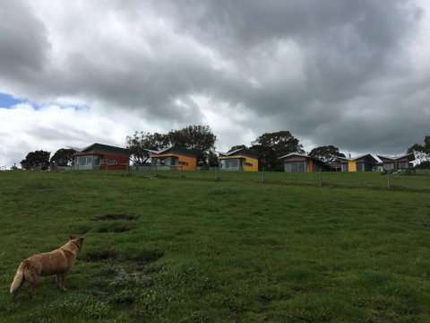 Lush Pastures - Nambucca Heads Accommodation 1