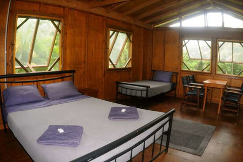 Daintree Rainforest Bungalows - Nambucca Heads Accommodation 4