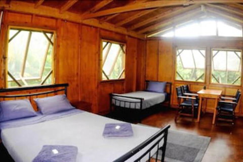 Daintree Rainforest Bungalows - Nambucca Heads Accommodation 5