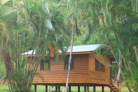 Daintree Rainforest Bungalows - Nambucca Heads Accommodation 0