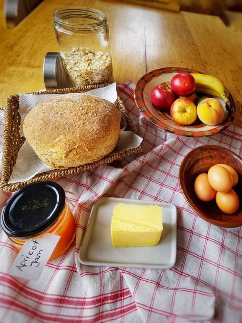 Southern Forest Accommodation - Nambucca Heads Accommodation 5