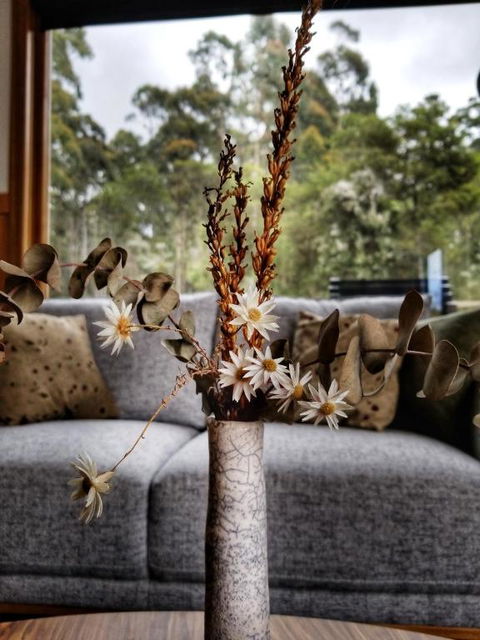 Southern Forest Accommodation - Nambucca Heads Accommodation 1