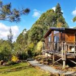 Southern Forest Accommodation - Nambucca Heads Accommodation 0