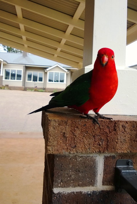 Marysville Garden Cottages - Nambucca Heads Accommodation 3