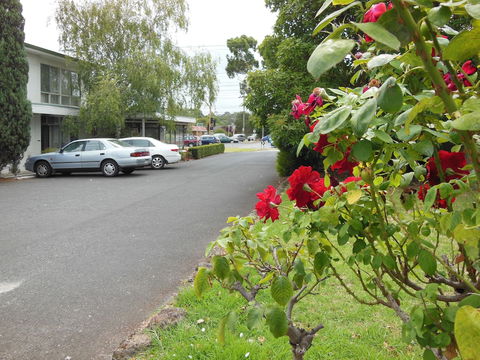 Ringwood Motel - Nambucca Heads Accommodation 1