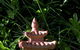 Ninderry Manor Luxury Retreat - thumb 2