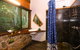 The Epiphyte Bed & Breakfast - thumb 5