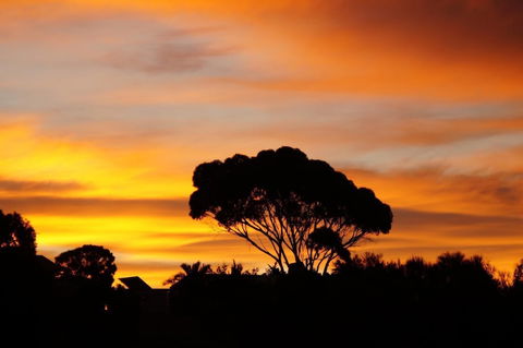 Lindsays Of Kangaroo Island - Nambucca Heads Accommodation 0