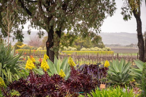 Linger Longer Vineyard Bed & Breakfast - Nambucca Heads Accommodation 2