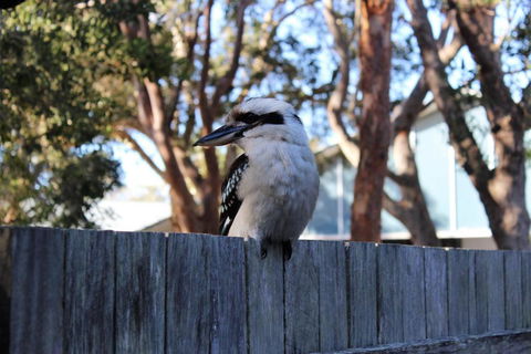 POINT BREAK WEEKLY ONLY - Nambucca Heads Accommodation 2