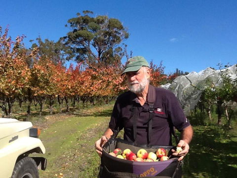 Eureka Farm - Nambucca Heads Accommodation 1