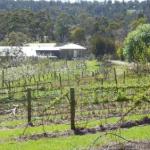 Eureka Farm - Nambucca Heads Accommodation 0