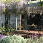 Windrush BnB Comboyne Australia - Nambucca Heads Accommodation 0