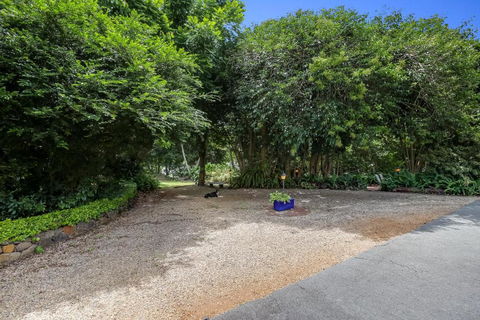 Maleny Hills Motel - Nambucca Heads Accommodation 5