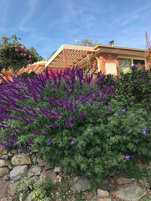 Holly Cottage - Nambucca Heads Accommodation 3
