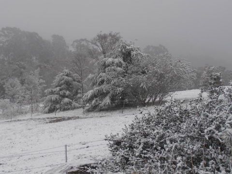 Springmead Rustic Cabin - Nambucca Heads Accommodation 6