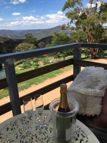 Springmead Rustic Cabin - Nambucca Heads Accommodation 4