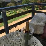 Springmead Rustic Cabin - Nambucca Heads Accommodation 0