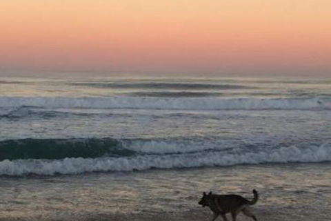 Ginaâ€˜s Place - Nambucca Heads Accommodation 4