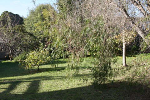 Lytton At Lonnie - Nambucca Heads Accommodation 2
