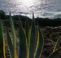 Ven  Marks Place - Nambucca Heads Accommodation
