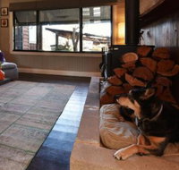 Millfield Eco Lodge with views  inside / outside hangouts - Nambucca Heads Accommodation