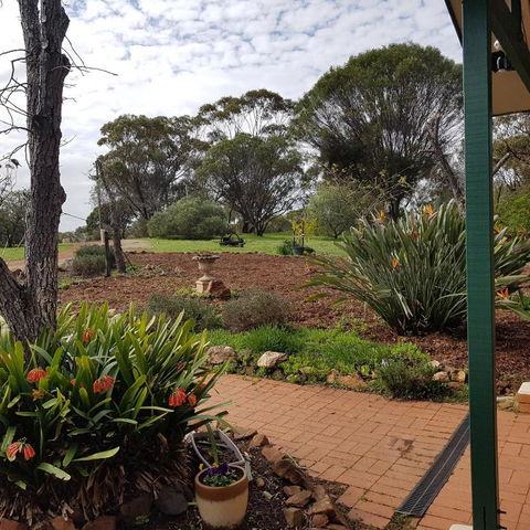 Pecan Hill BNB - Nambucca Heads Accommodation 4