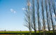 Royal Standard Farm Daylesford - thumb 2