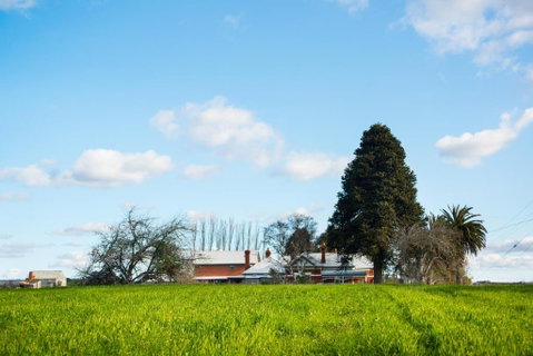 Royal Standard Farm Daylesford - Nambucca Heads Accommodation 6