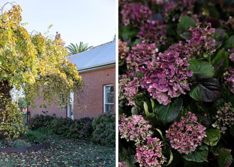 Royal Standard Farm Daylesford - Nambucca Heads Accommodation 1