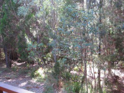 The Sanctuary - Nambucca Heads Accommodation 3