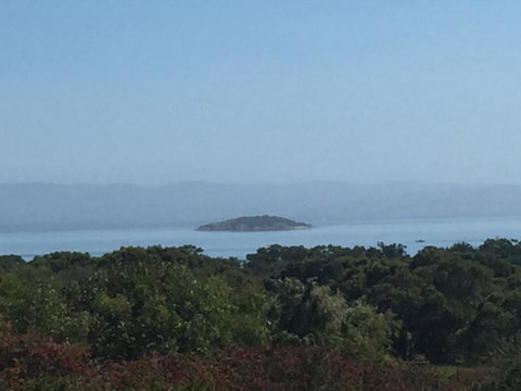 Tidal Dreaming Seaview Cottages - Nambucca Heads Accommodation 4