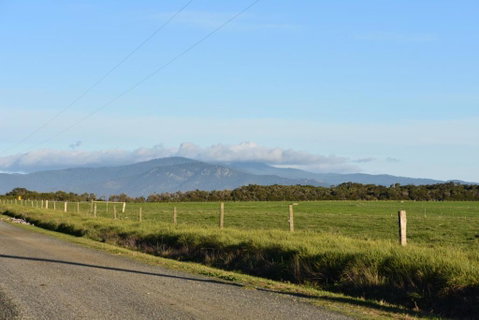 Tidal Dreaming Seaview Cottages - Nambucca Heads Accommodation 3